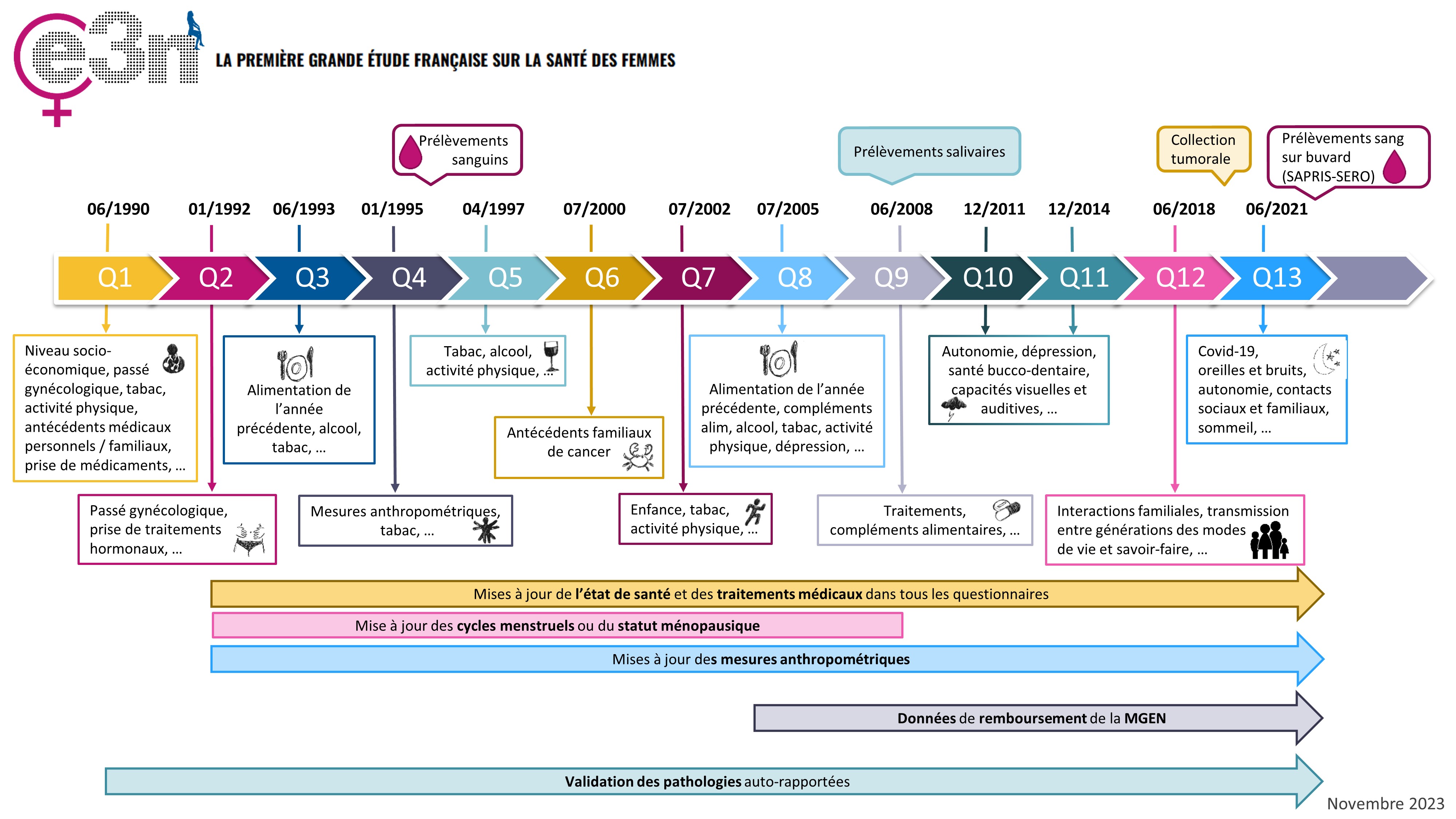 Calendrier des questionnaires et prélèvements biologiques de l'étude E3N