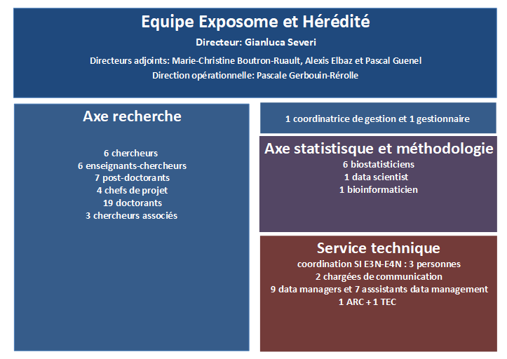 Organigramme simplifié Exposome et Hérédité