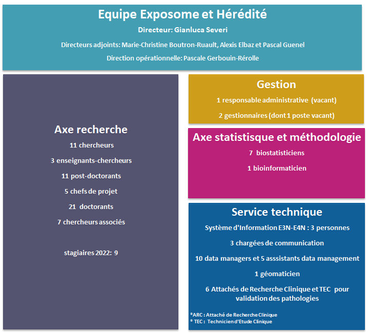 Organigramme simplifié