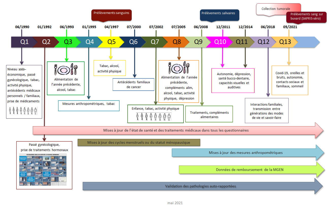 Calendrier des questionnaires et prélévements biologiques de l'étude E3N