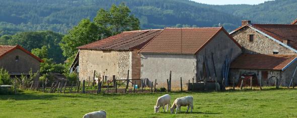 Ferme en France