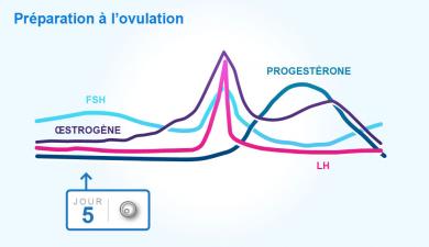 HormonesNaturelles