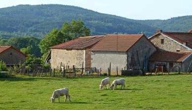 Ferme en France